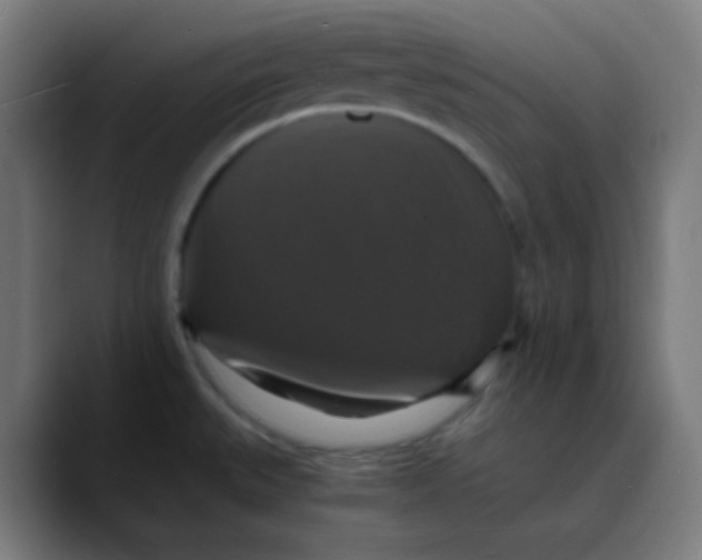 X0000089731527200707121440