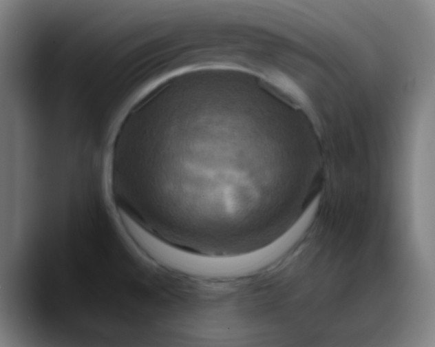 X0000089731528200707121440