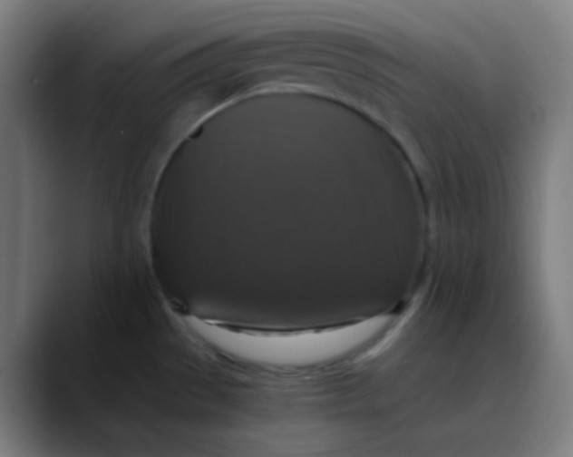 X0000089731529200707121440