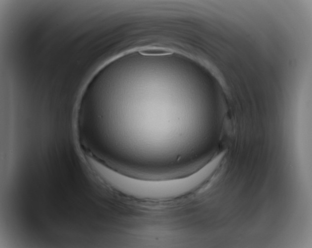 X0000089731530200707121440