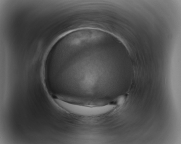 X0000089731531200707121440