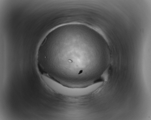 X0000089731532200707121440