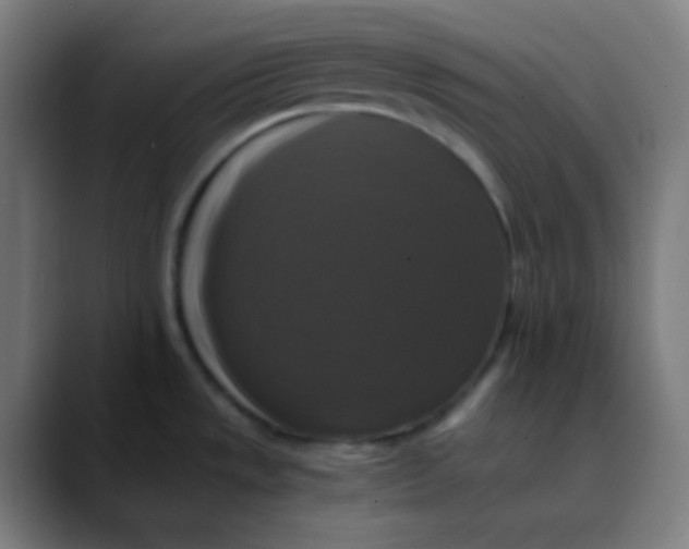 X0000089731533200707121440