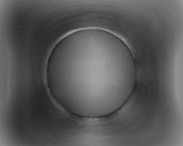 X0000089731534200707121440