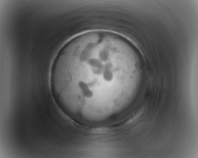 X0000089731535200707121440