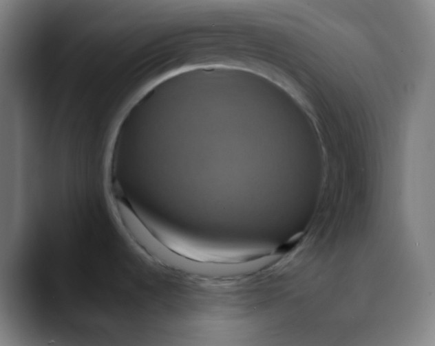 X0000089731536200707121440