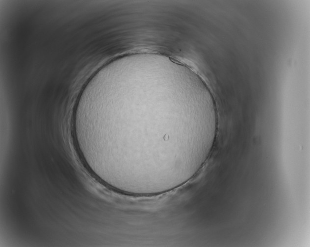 X0000089730001200707201851