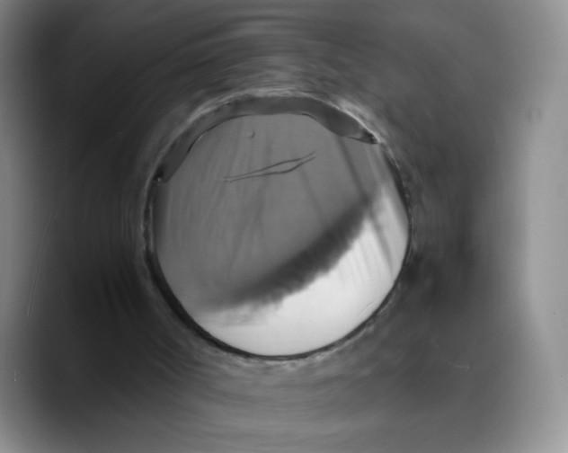 X0000089730002200707201850