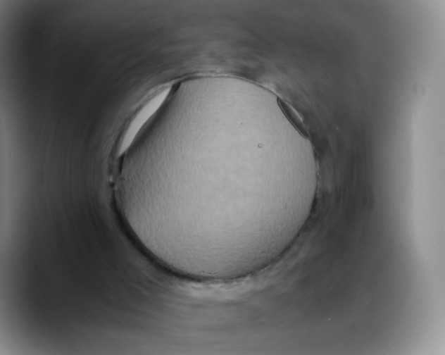X0000089730005200707201850