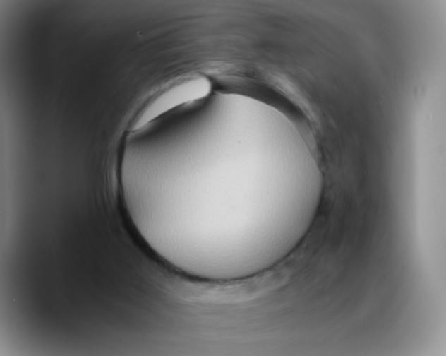 X0000089730011200707201850