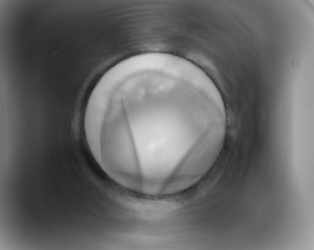 X0000089730012200707201850