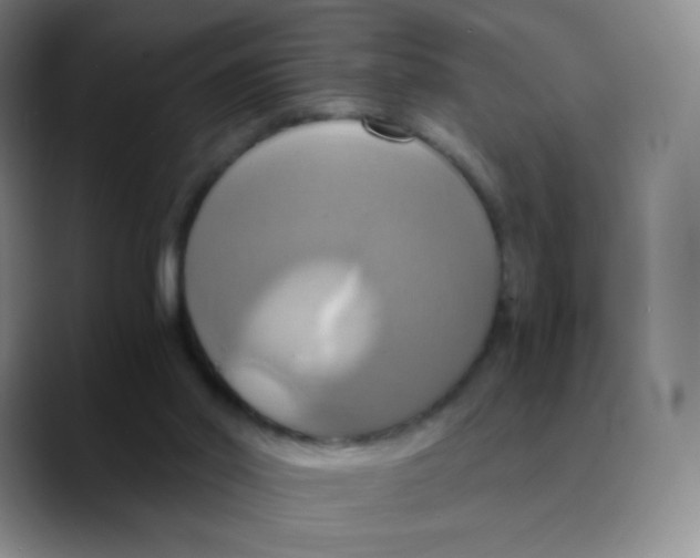 X0000089730014200707201850