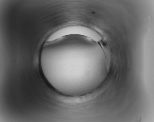 X0000089730015200707201850