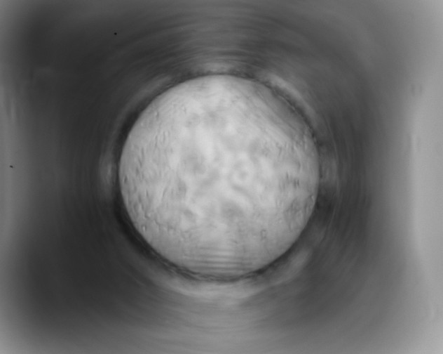 X0000089730016200707201850