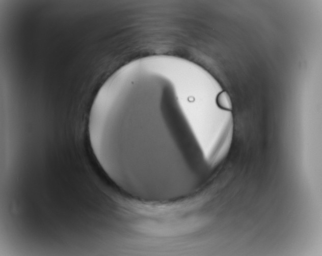 X0000089730018200707201850