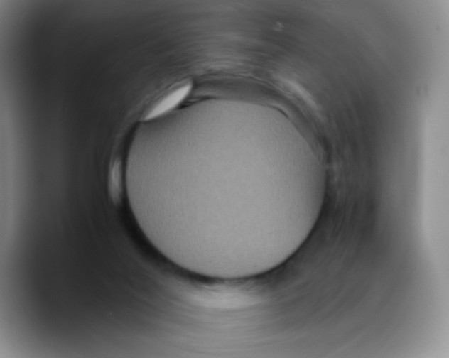 X0000089730020200707201850