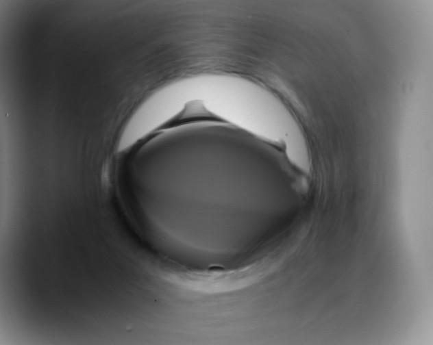 X0000089730023200707201850