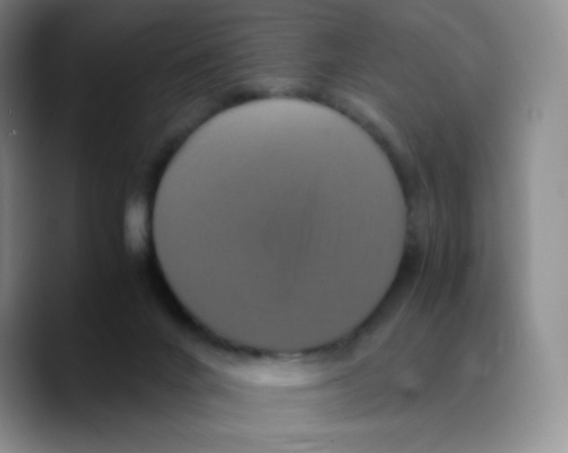 X0000089730024200707201850