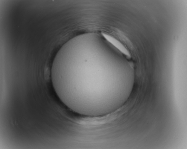 X0000089730025200707201850