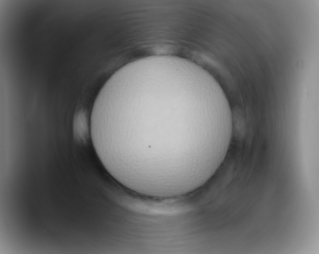 X0000089730028200707201850