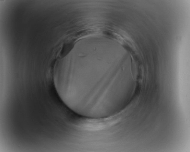 X0000089730029200707201850