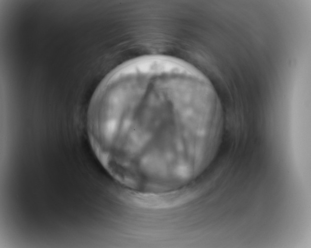 X0000089730030200707201850