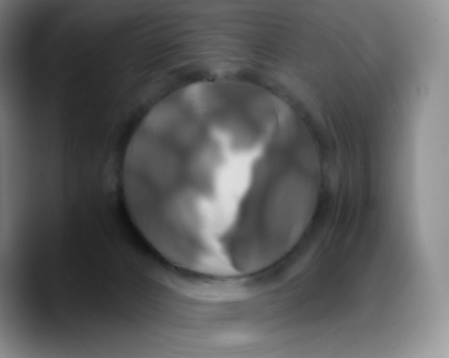 X0000089730032200707201850