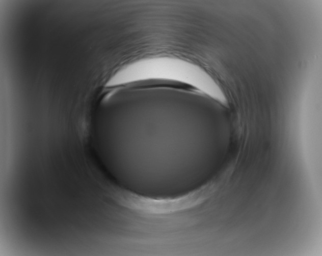 X0000089730039200707201850