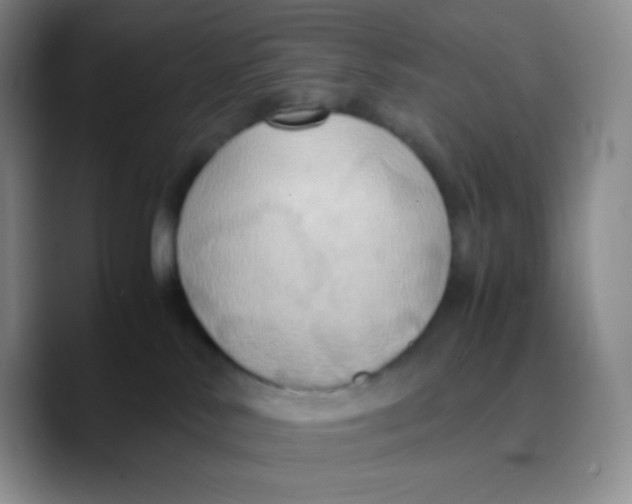 X0000089730042200707201850