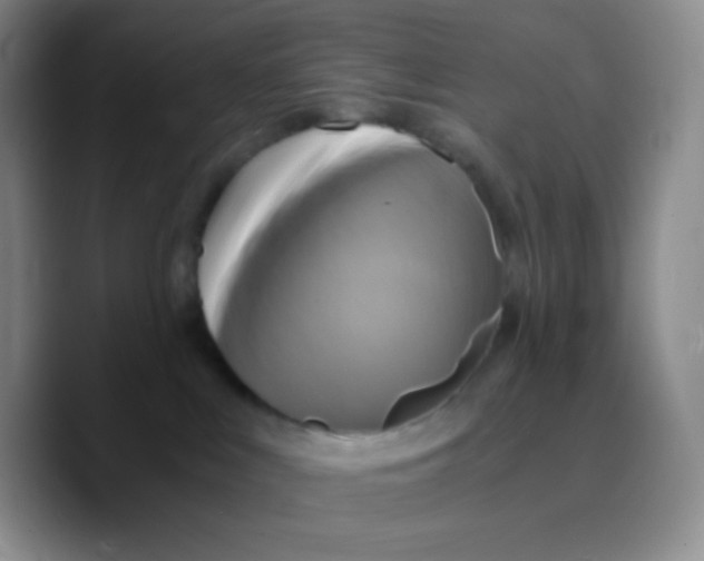 X0000089730043200707201850