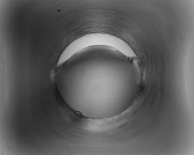 X0000089730045200707201850