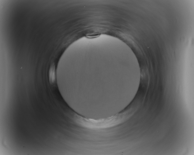 X0000089730046200707201850