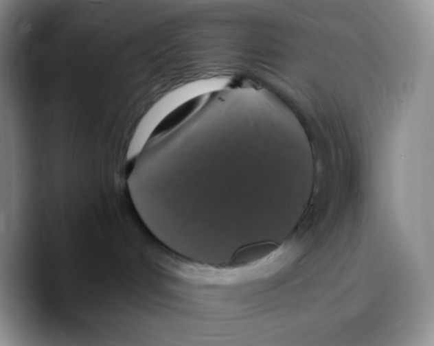 X0000089730048200707201850