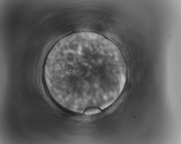 X0000089730049200707201849