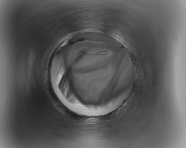 X0000089730050200707201849