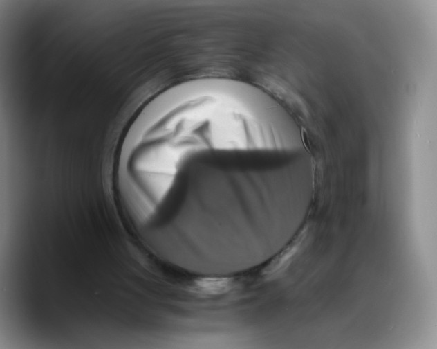 X0000089730051200707201849