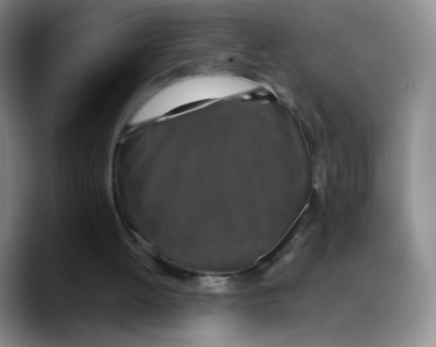 X0000089730052200707201849