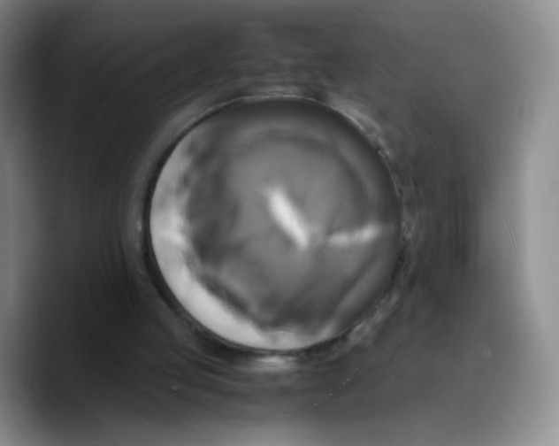 X0000089730053200707201849