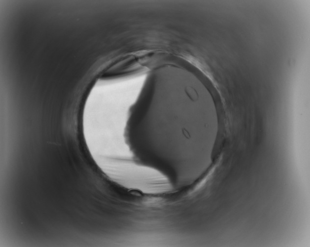X0000089730055200707201849