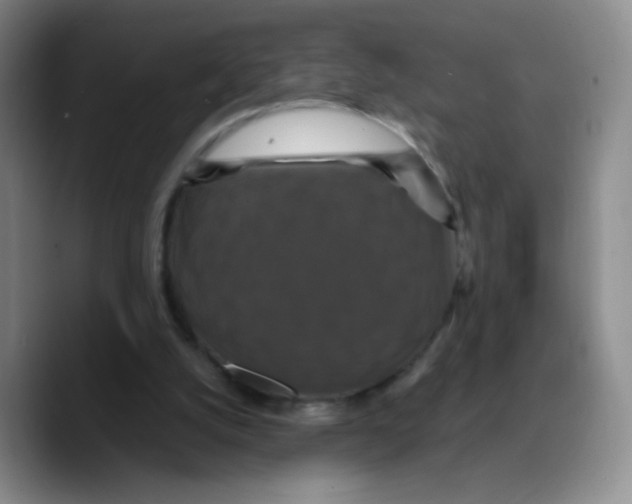 X0000089730056200707201849
