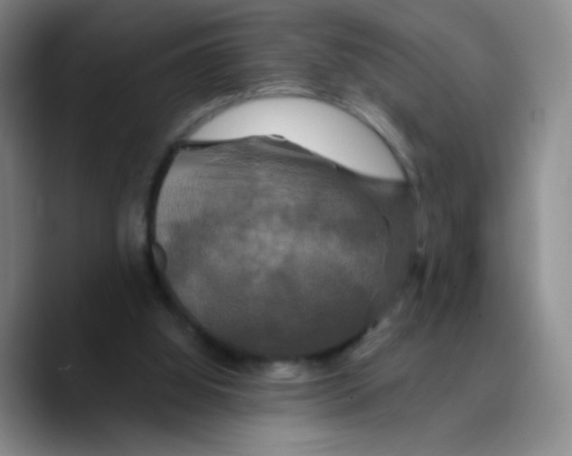 X0000089730060200707201849
