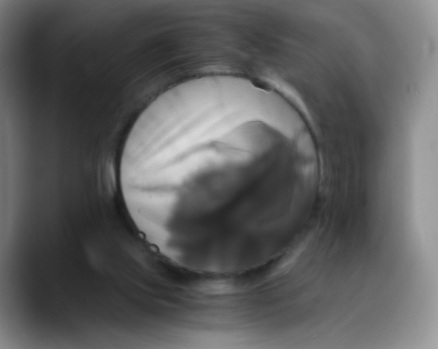 X0000089730061200707201849