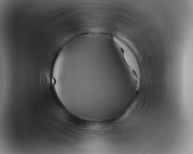 X0000089730062200707201849