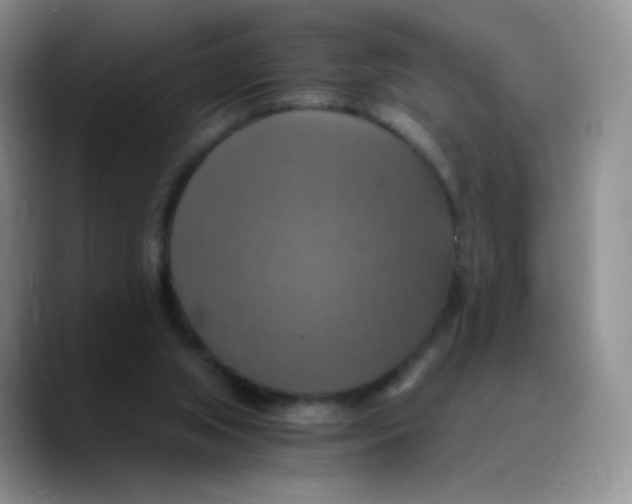 X0000089730063200707201849