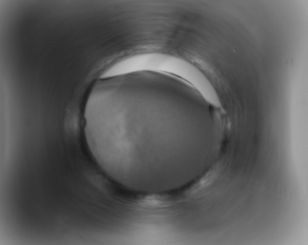 X0000089730064200707201849