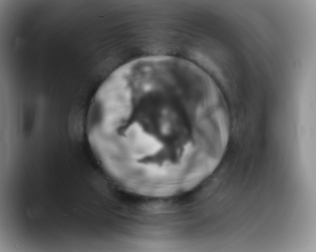 X0000089730065200707201849