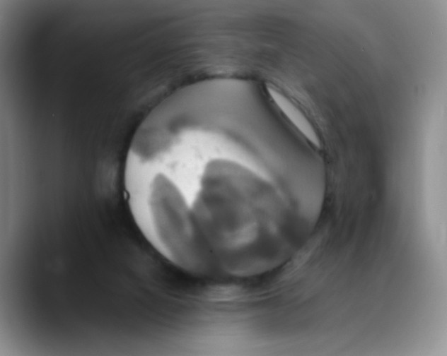 X0000089730066200707201849