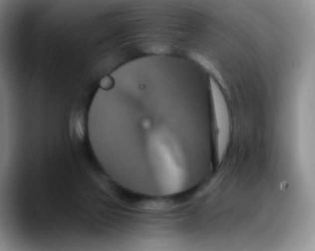 X0000089730069200707201850