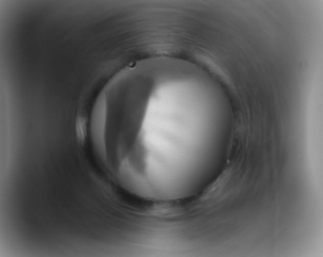 X0000089730070200707201850