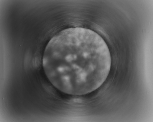 X0000089730073200707201850